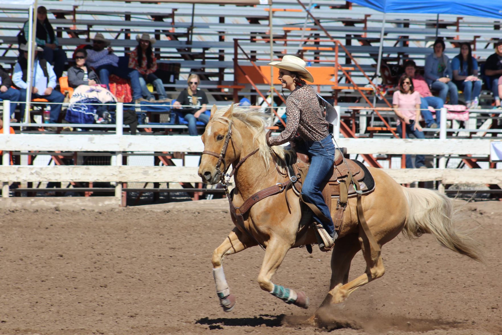 Youth rodeo held at Preston arena IMG_6804.jpg